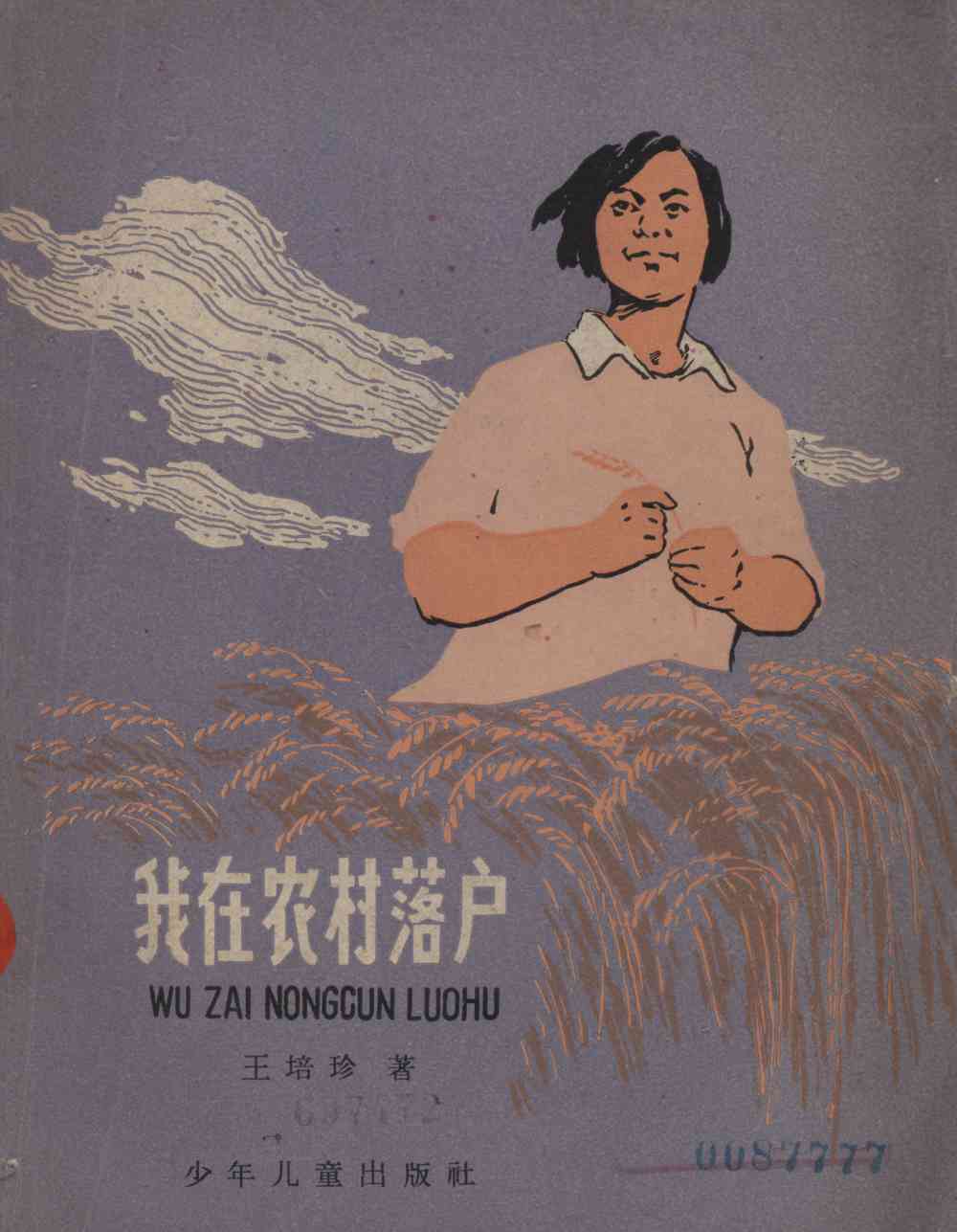 我在农村落户
