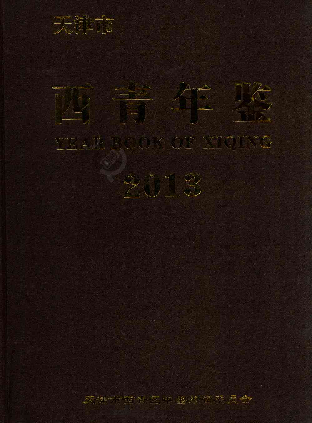 西青年鉴2013