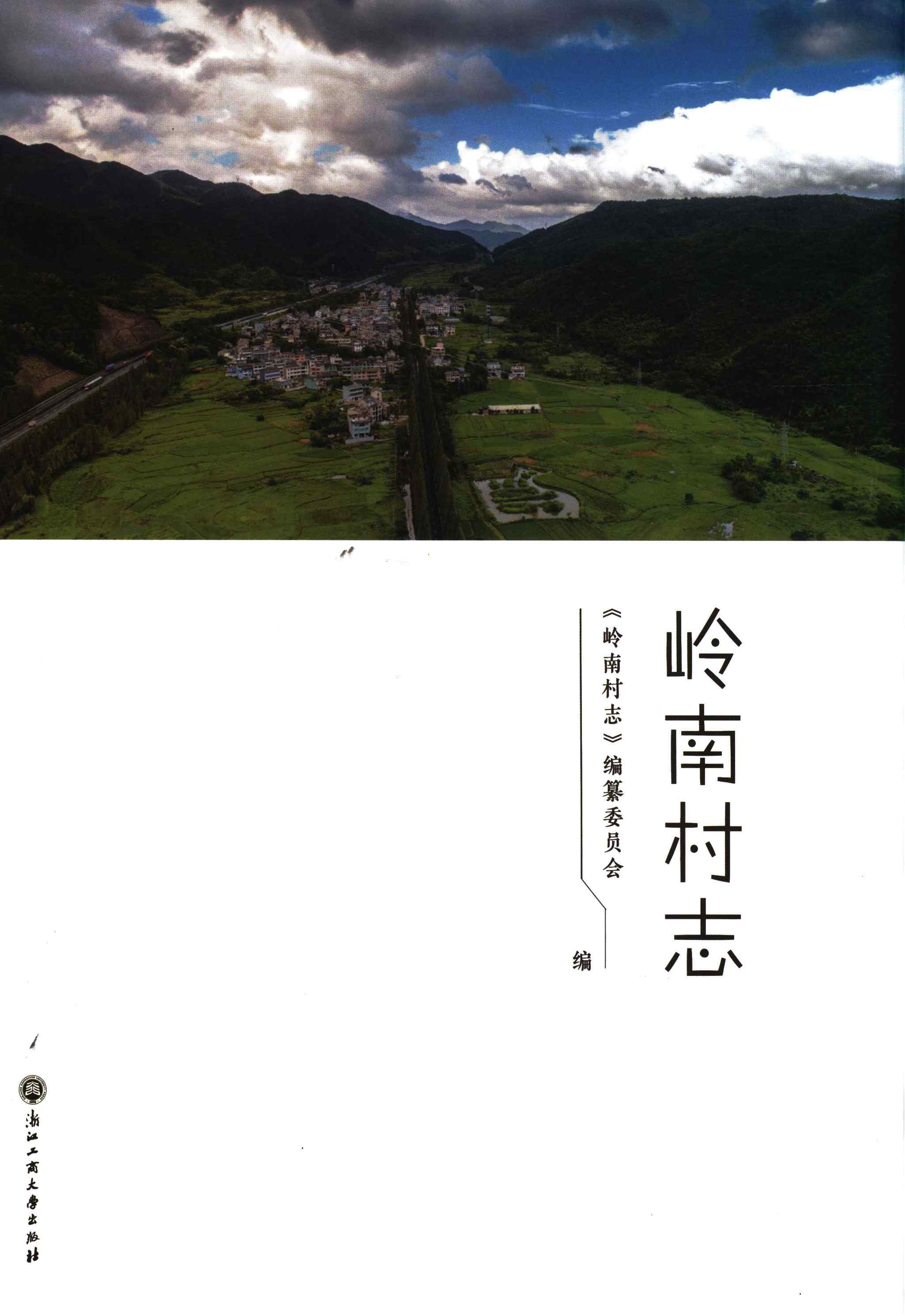 岭南村志