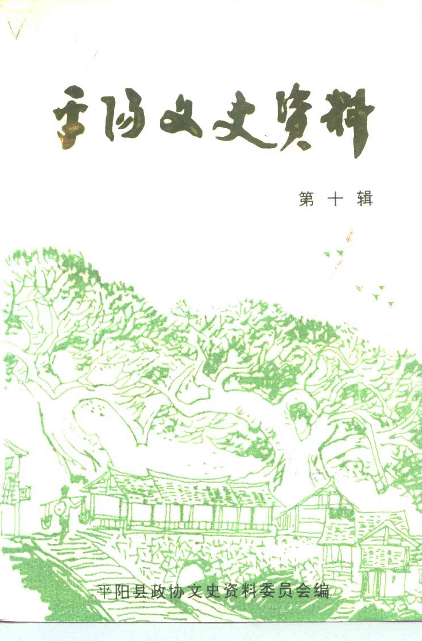 平阳文史资料 第十辑