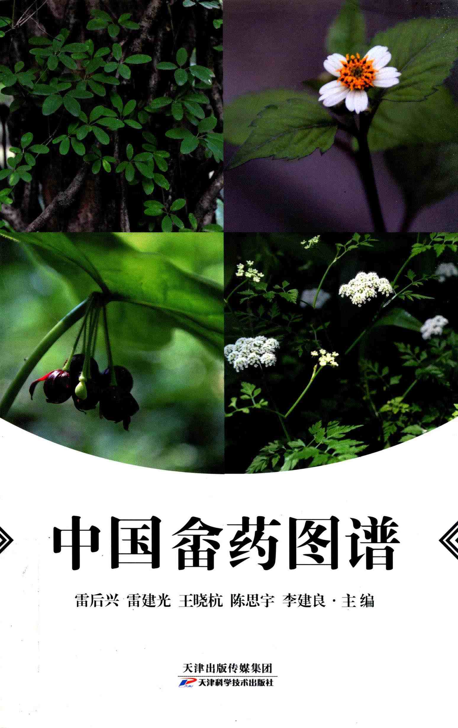 中国畲药图谱
