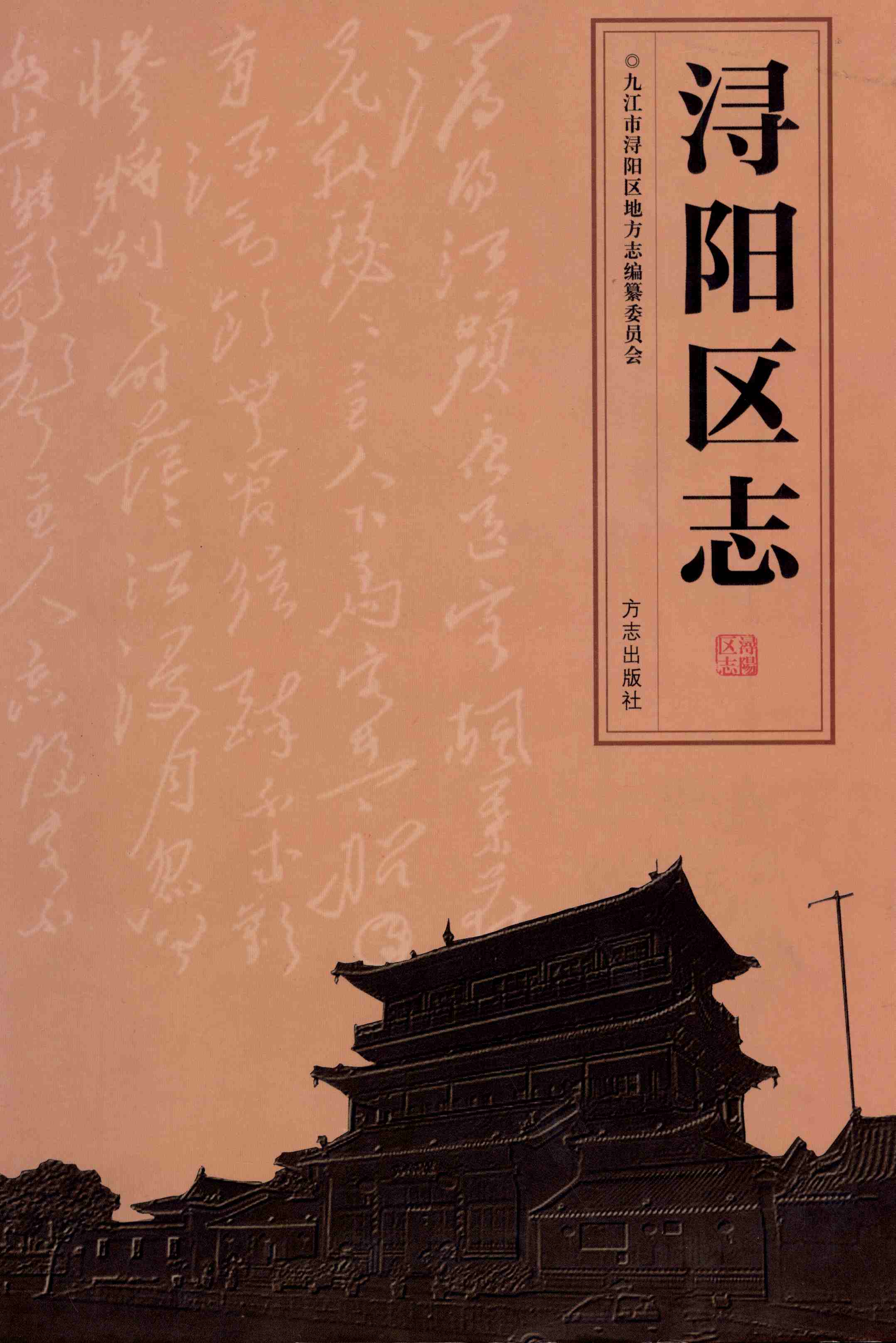 浔阳区志