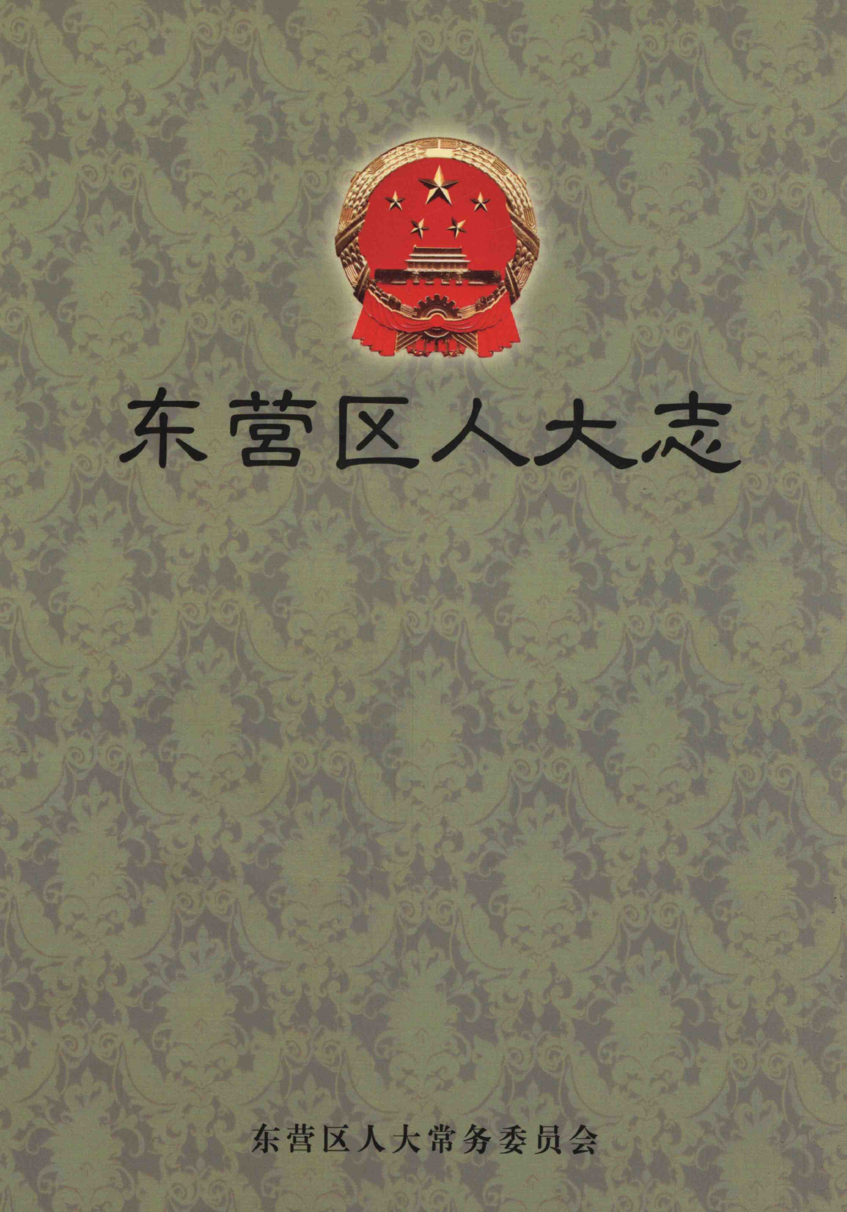 东营区人大志