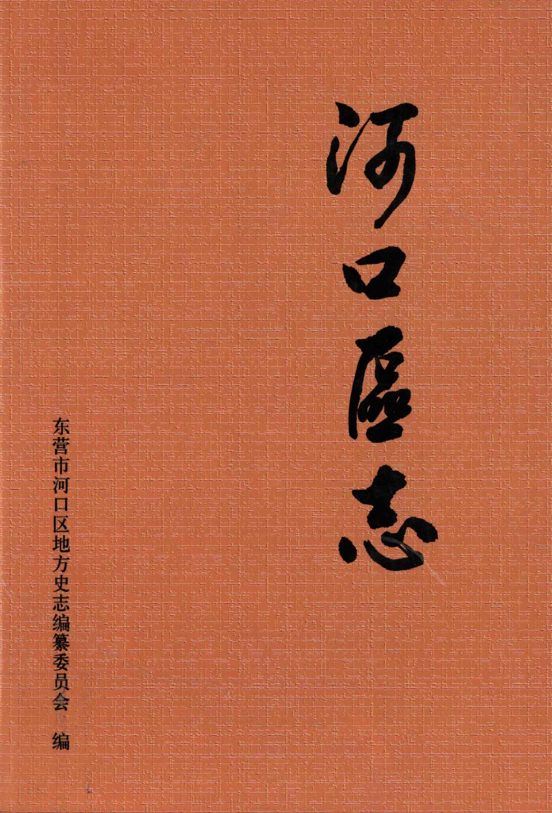 河口区志