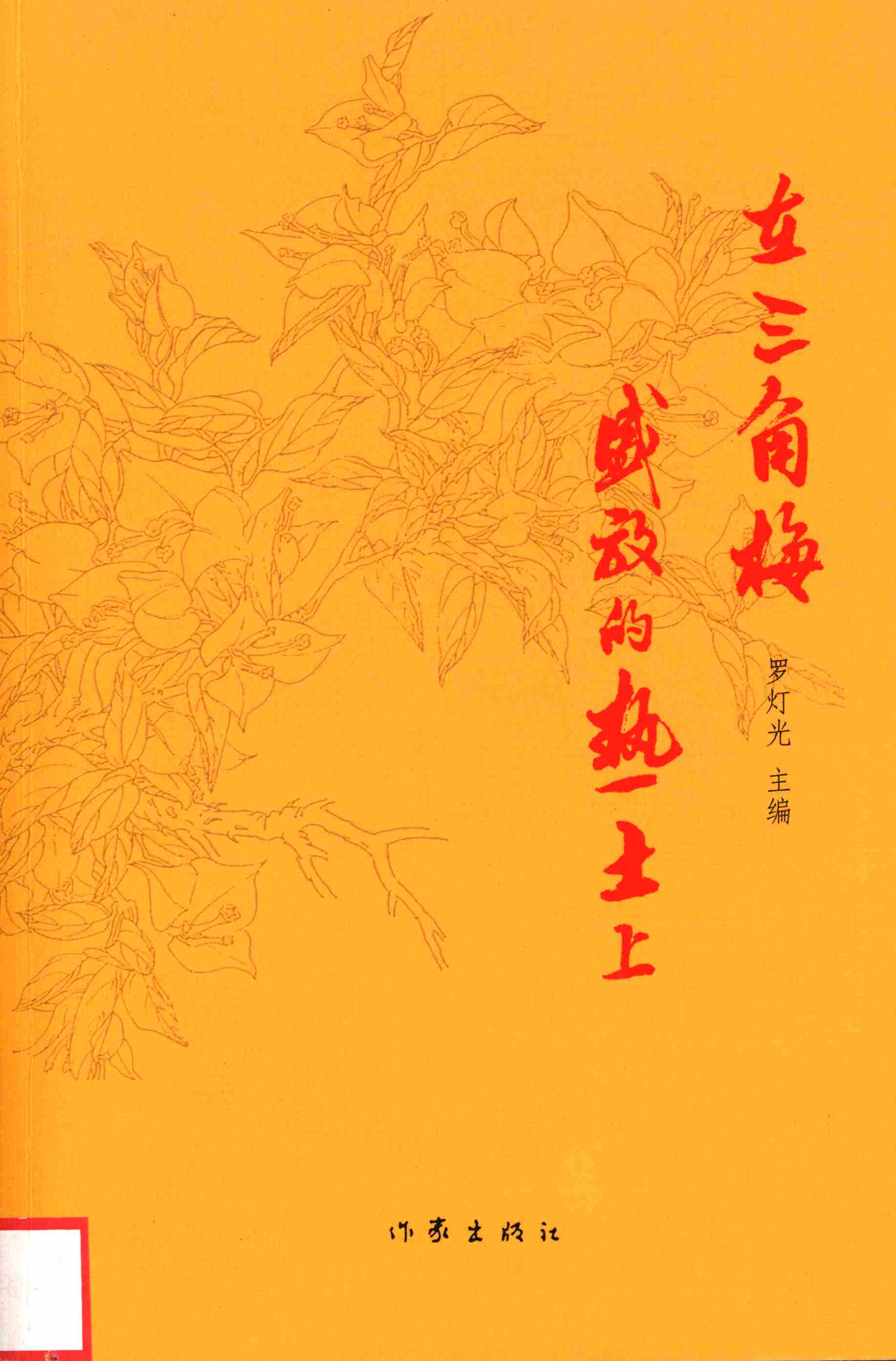 在三角梅盛放的热土上