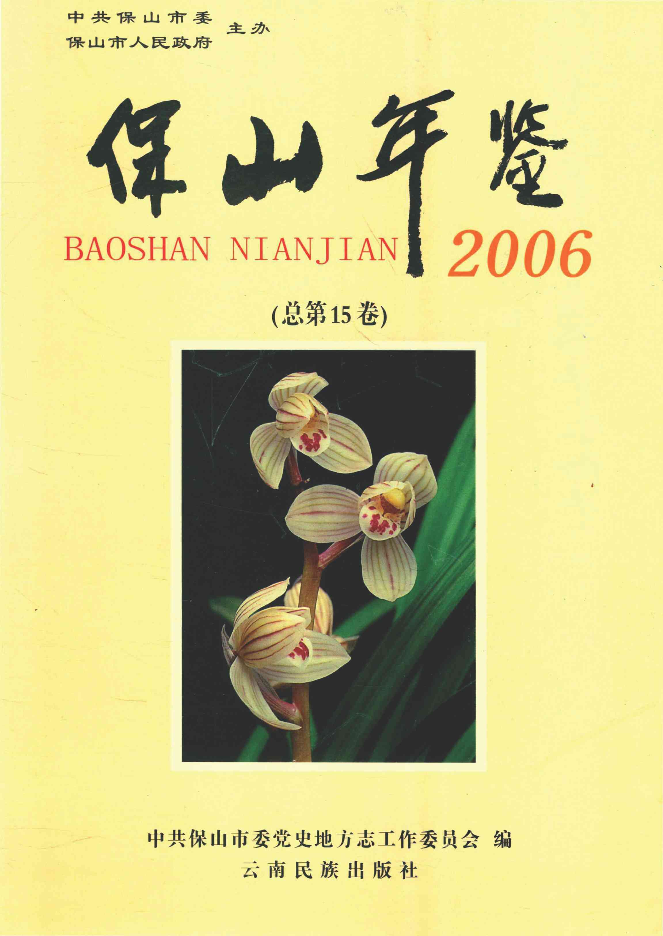 保山年鉴.2006