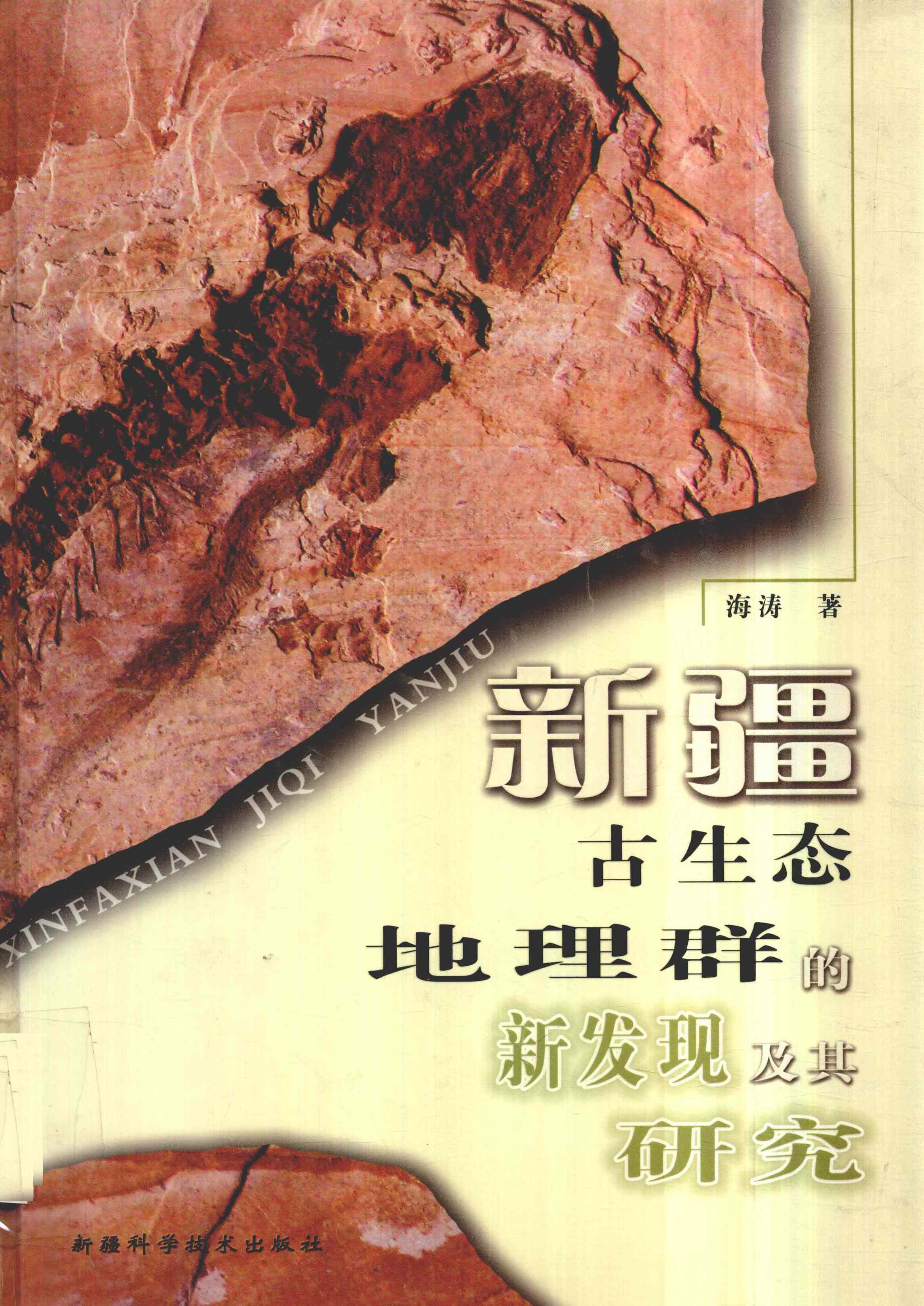 新疆古生态地理群的新发现及其研究